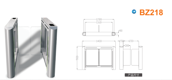 聊城摆闸BZ218